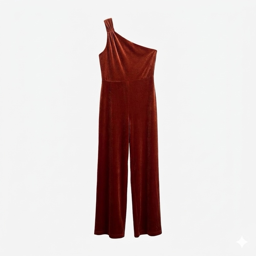 Banana Republic Velvet One Shoulder Jumpsuit Whimsigoth 70s Terracotta PM